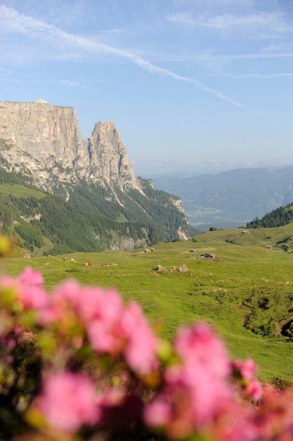 Apartments Schererhof Castelrotto Luaran gambar